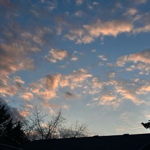 Meet your Posher, Mia